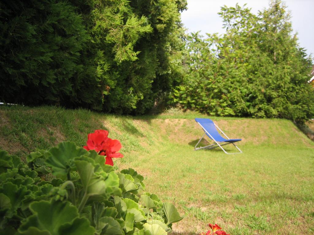 Balatonszárszó 艾米温德嘉斯旅馆酒店 外观 照片