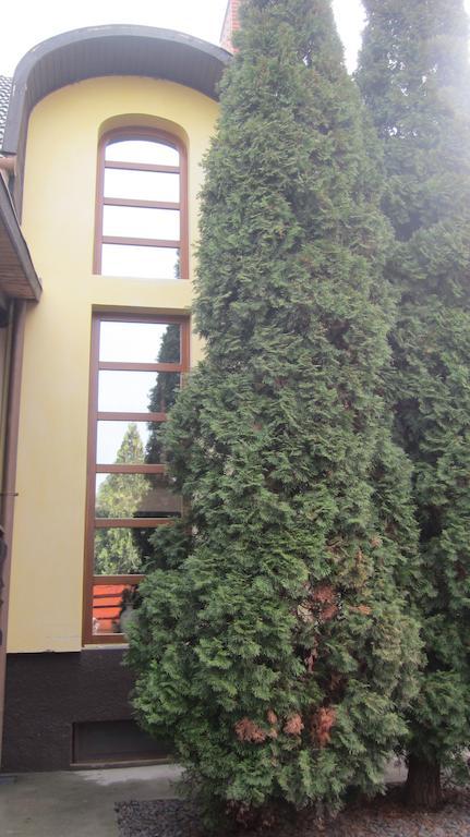 Balatonszárszó 艾米温德嘉斯旅馆酒店 外观 照片